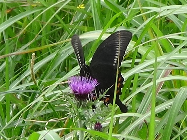 �`���E�`��