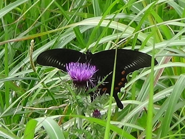 �`���E�`��