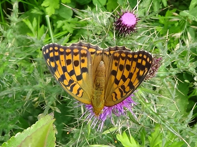 �`���E�`��