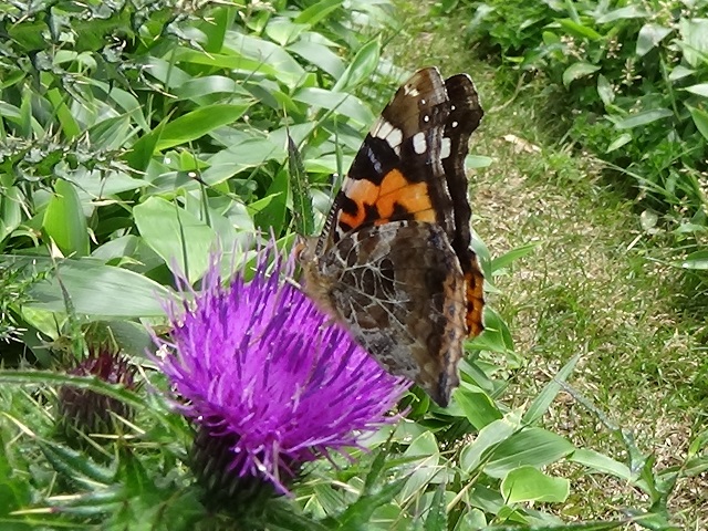 �`���E�`��