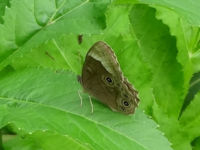 �`���E�`��