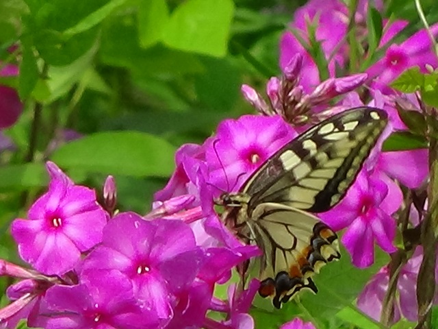 �`���E�`��