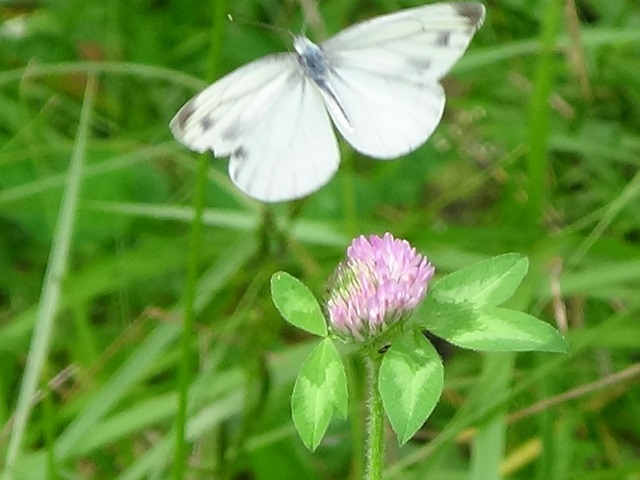 �`���E�`��