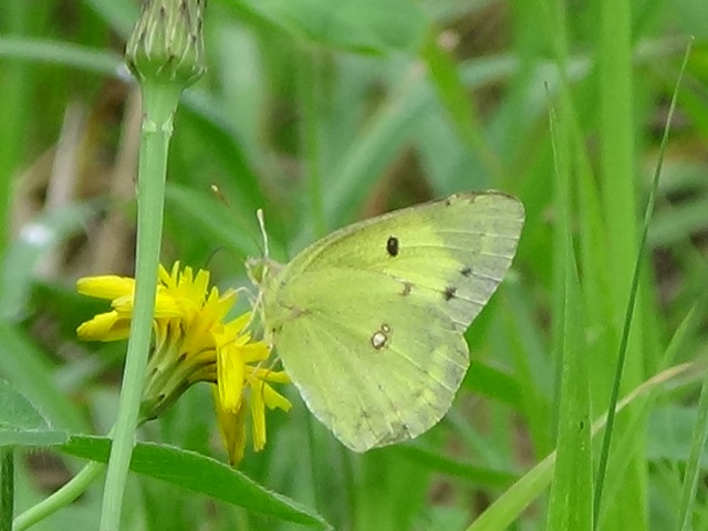 �`���E�`��