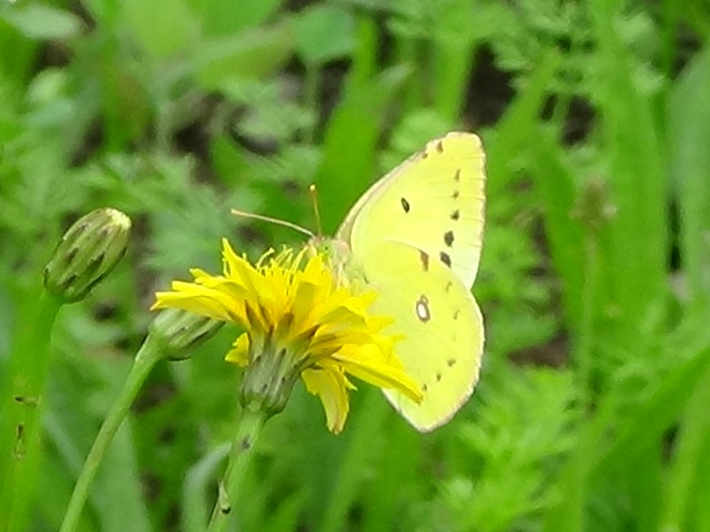 �`���E�`��