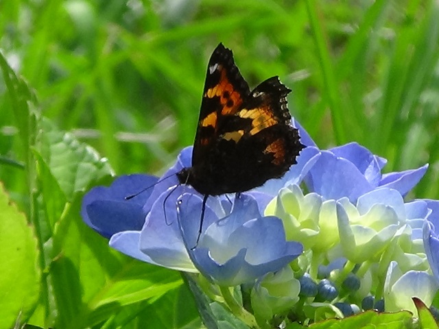 �`���E�`��