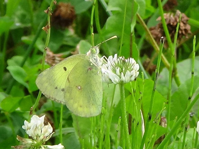 �`���E�`��