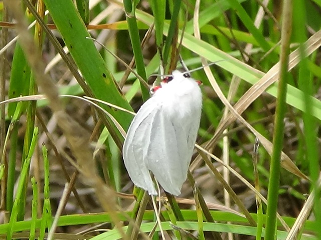 �`���E�`��