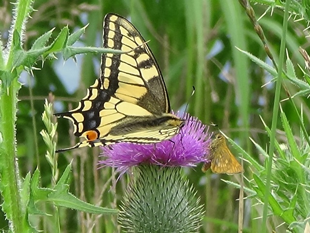 �`���E�`��