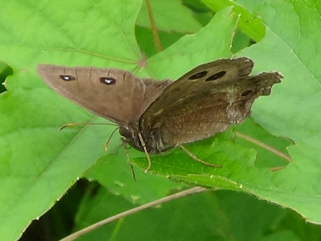 �`���E�`��