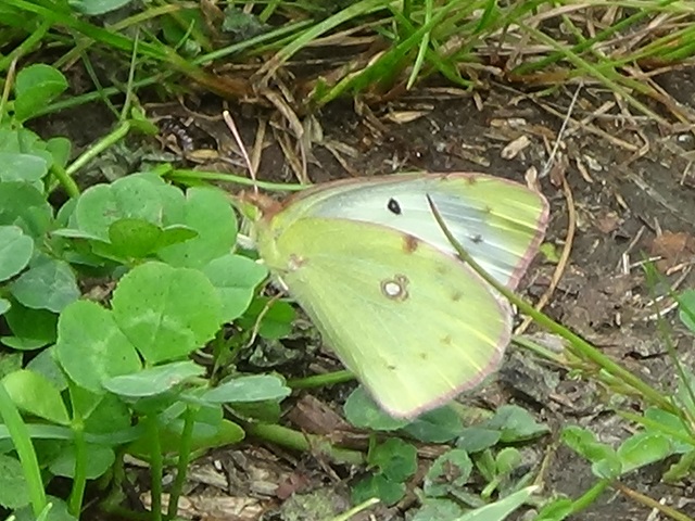 �`���E�`��