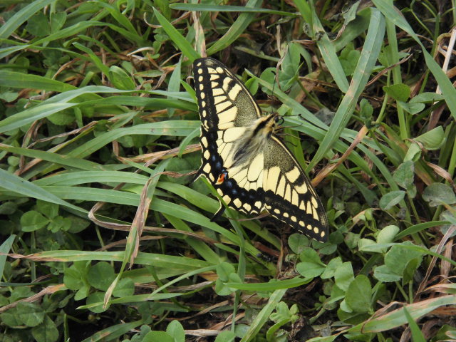 �`���E�`��