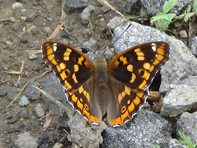 �`���E�`��