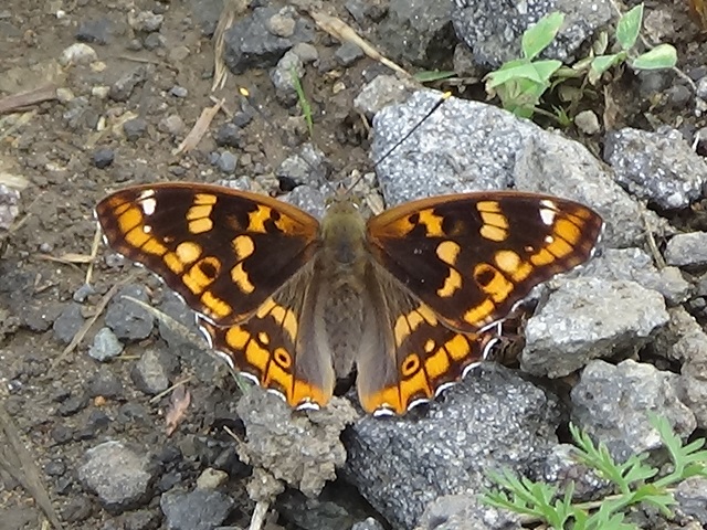 �`���E�`��