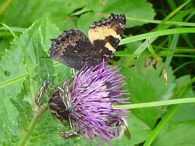 �`���E�`��