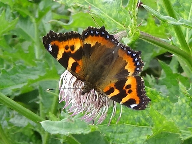 �`���E�`��