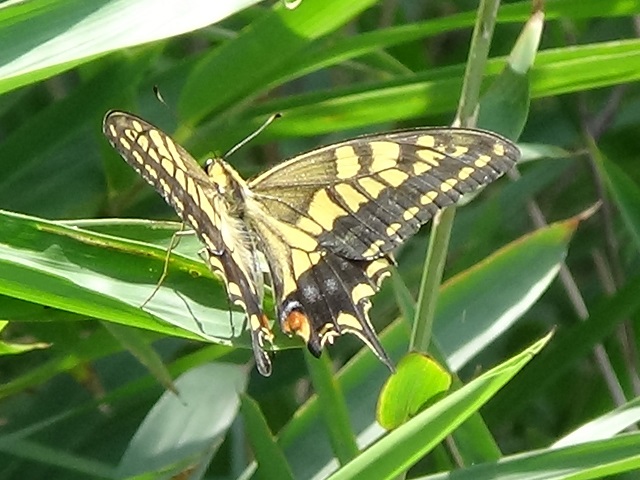 �`���E�`��