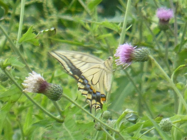 �`���E�`��