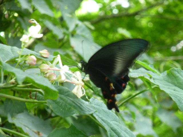 �`���E�`��