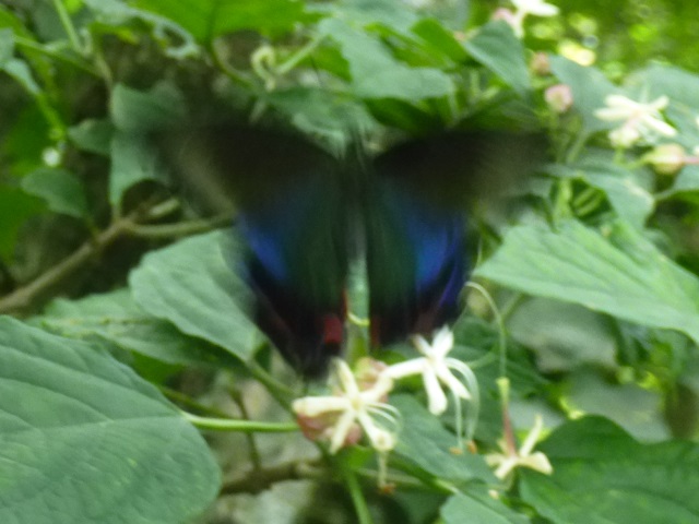 �`���E�`��