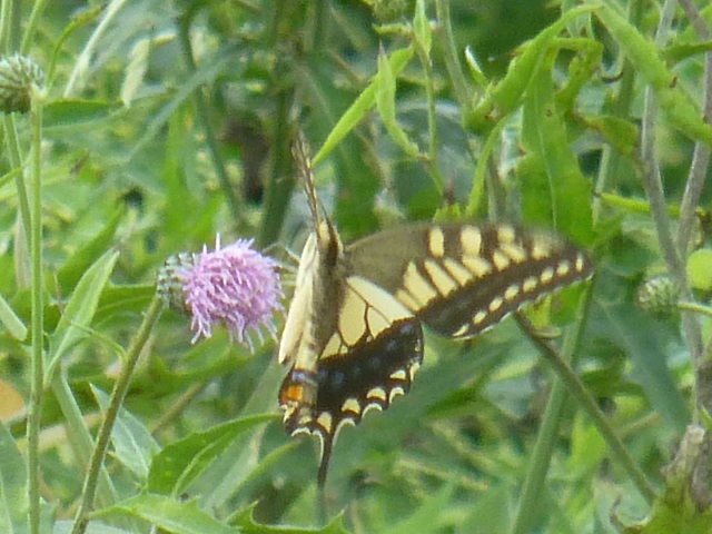 �`���E�`��