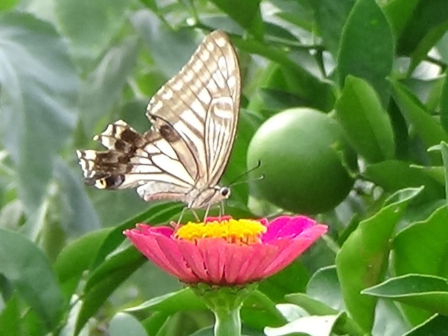 �`���E�`��