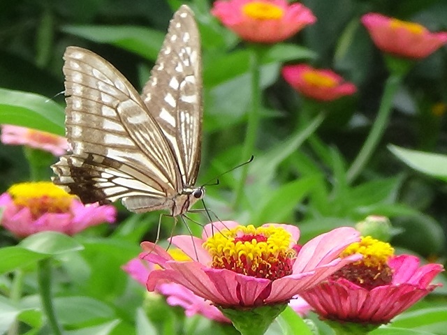 �`���E�`��