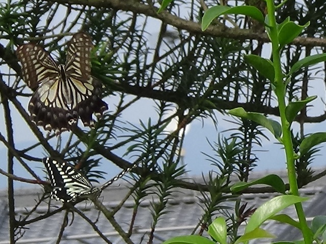 �`���E�`��