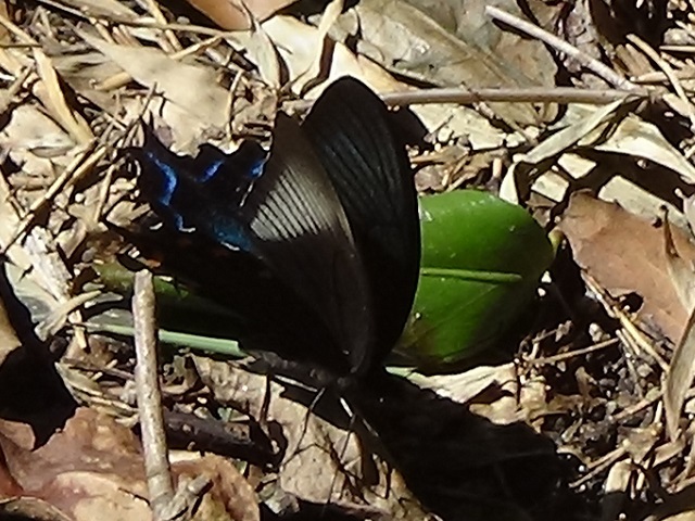 �`���E�`��