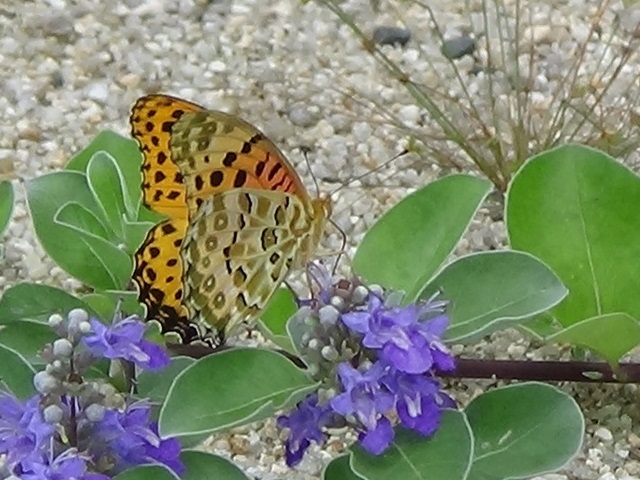 �`���E�`��