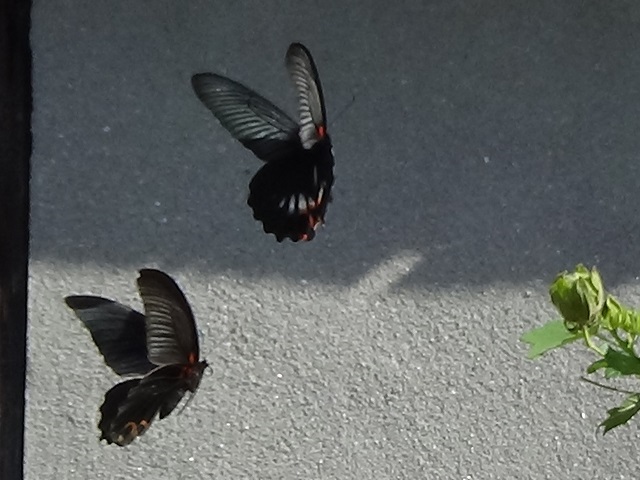 �`���E�`��