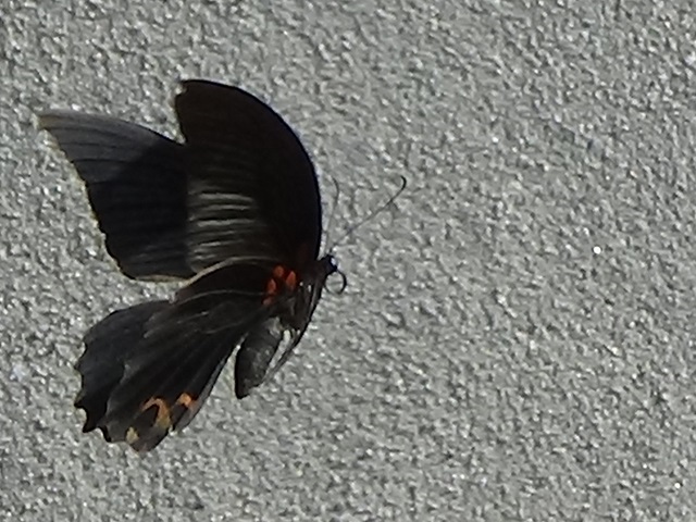 �`���E�`��