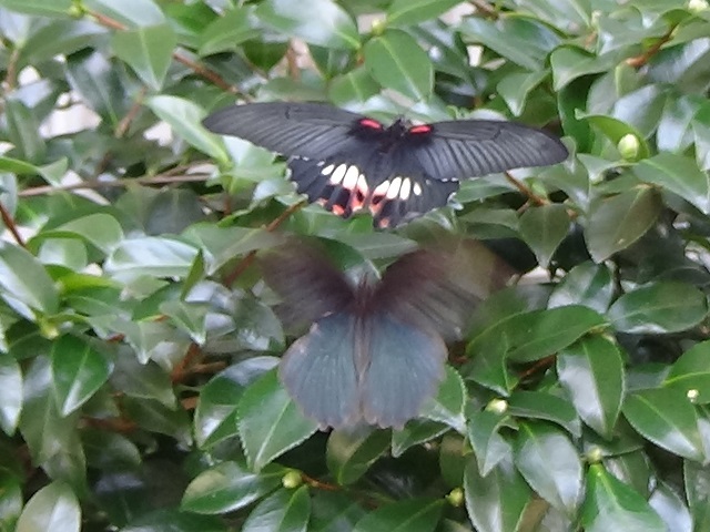 �`���E�`��