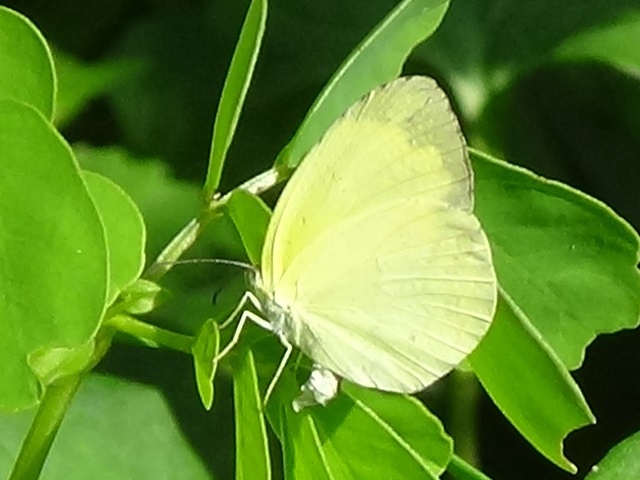 �`���E�`��