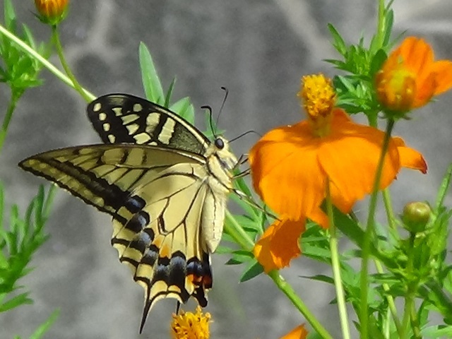 �`���E�`��