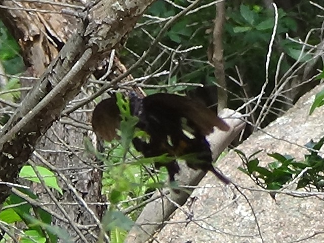 �`���E�`��