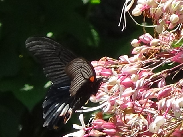 �`���E�`��