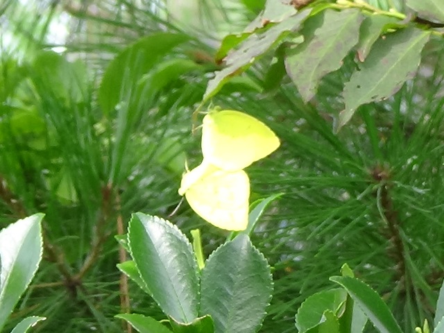 �`���E�`��