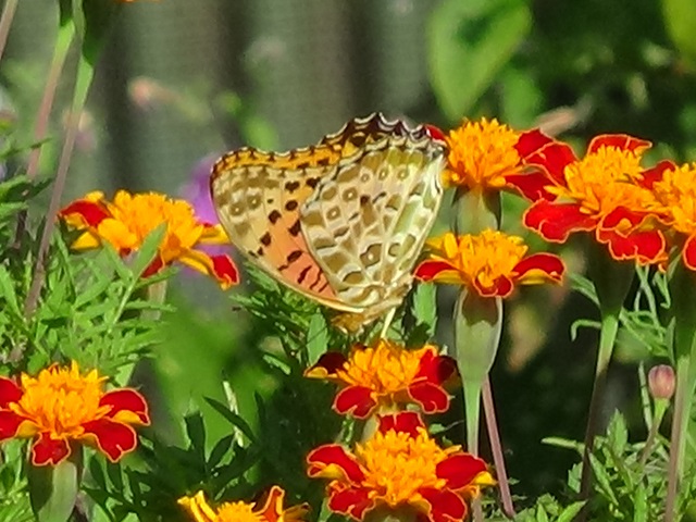 �`���E�`��