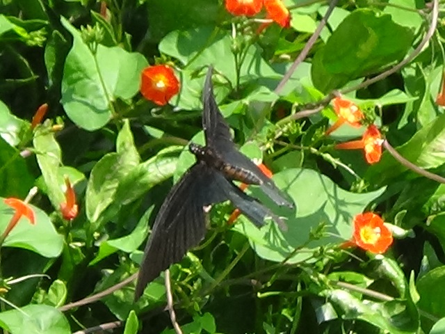 �`���E�`��