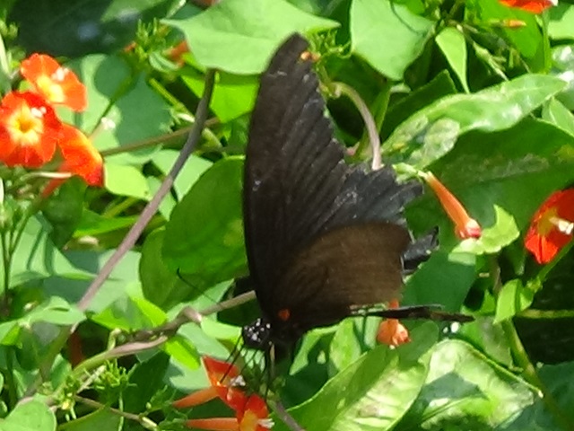 �`���E�`��