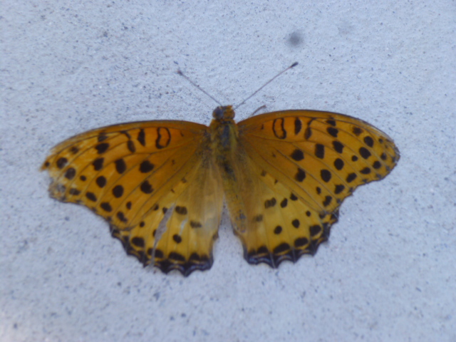 �`���E�`��