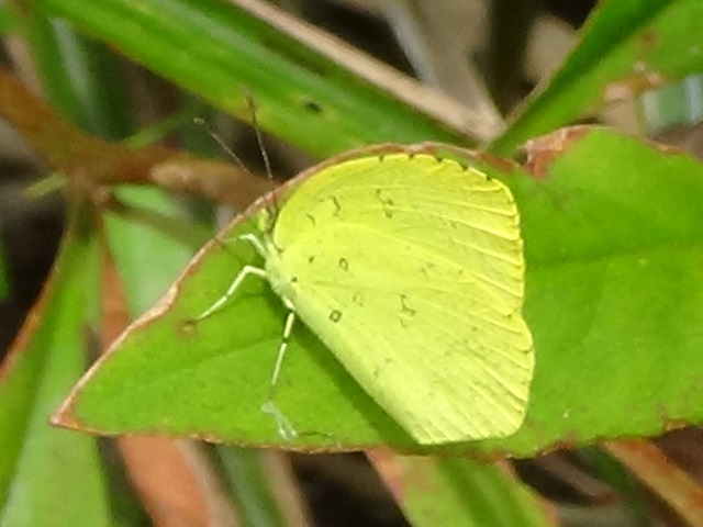 �`���E�`��