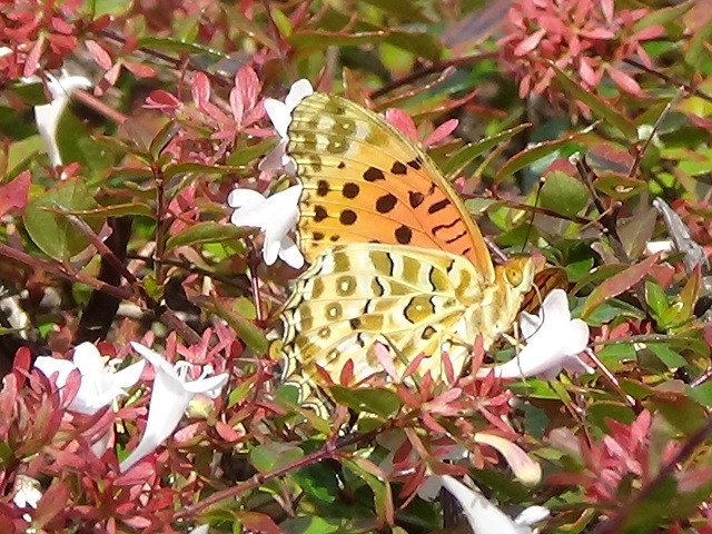 �`���E�`��