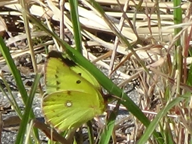 �`���E�`��