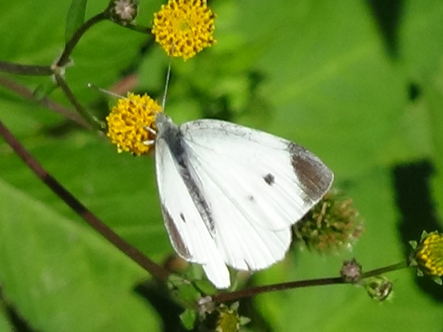 �`���E�`��