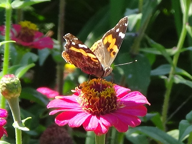 �`���E�`��