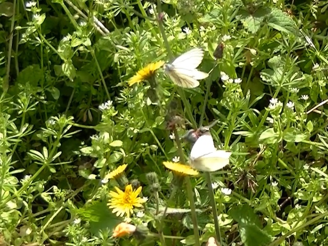 �`���E�`��