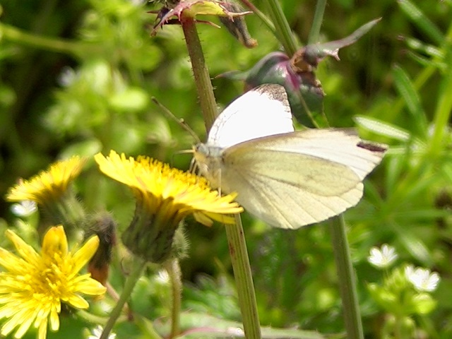 �`���E�`��