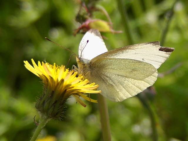 �`���E�`��